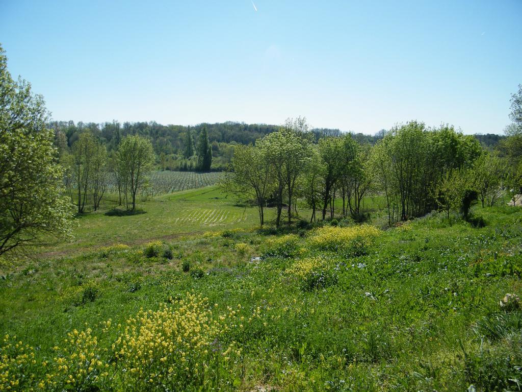 Clos Vieux Rochers Vineyard Puisseguin Kültér fotó