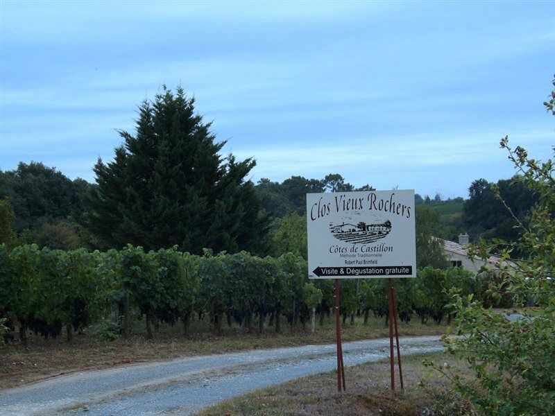 Clos Vieux Rochers Vineyard Puisseguin Kültér fotó