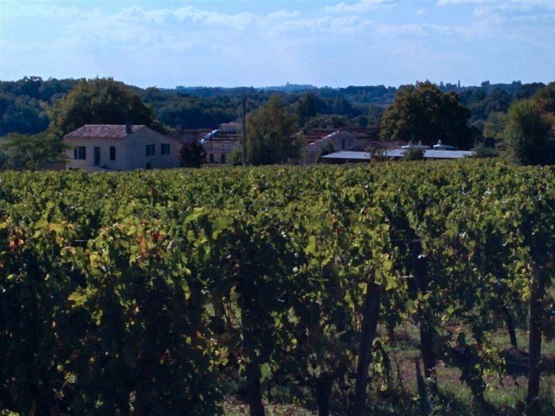 Clos Vieux Rochers Vineyard Puisseguin Kültér fotó