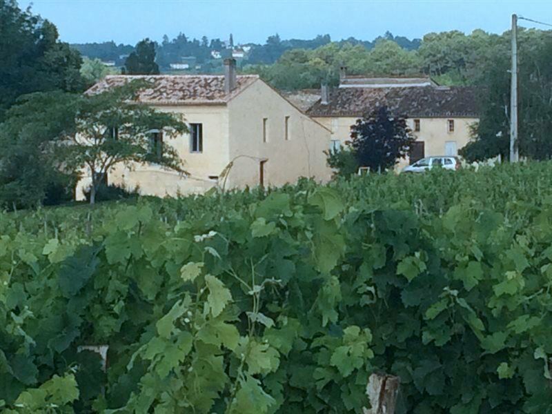 Clos Vieux Rochers Vineyard Puisseguin Kültér fotó